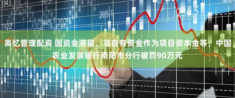 高忆管理配资 因资金滞留、非自有资金作为项目资本金等，中国农业发展银行南阳市分行被罚90万元