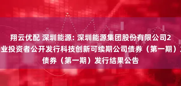翔云优配 深圳能源: 深圳能源集团股份有限公司2025年面向专业投资者公开发行科技创新可续期公司债券(第一期)发行结果公告