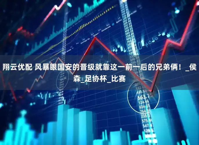 翔云优配 风暴眼国安的晋级就靠这一前一后的兄弟俩！_侯森_足协杯_比赛