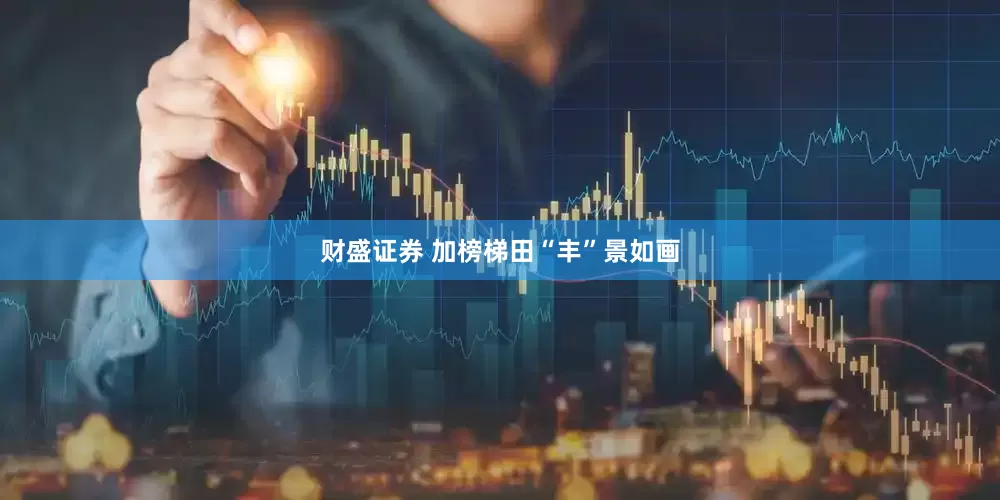 财盛证券 加榜梯田“丰”景如画