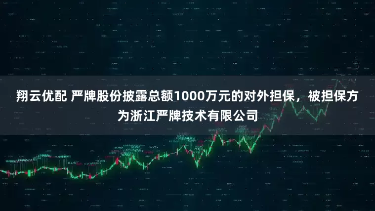 翔云优配 严牌股份披露总额1000万元的对外担保,被担保方为浙江严牌技术有限公司