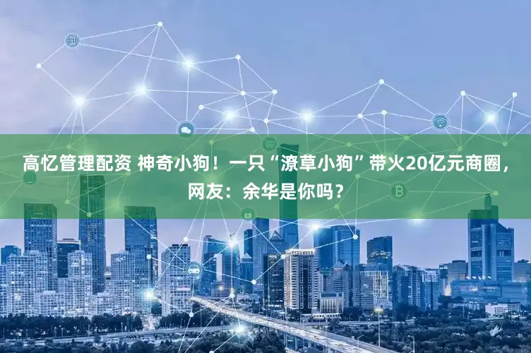 高忆管理配资 神奇小狗！一只“潦草小狗”带火20亿元商圈，网友：余华是你吗？